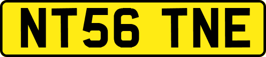 NT56TNE