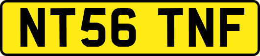 NT56TNF
