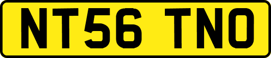 NT56TNO