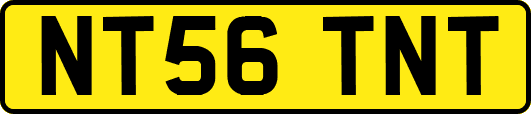 NT56TNT