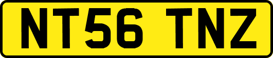 NT56TNZ