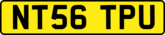 NT56TPU