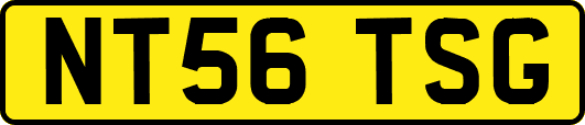 NT56TSG