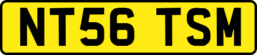 NT56TSM