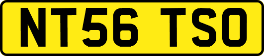 NT56TSO