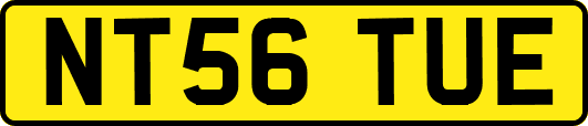 NT56TUE