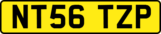 NT56TZP