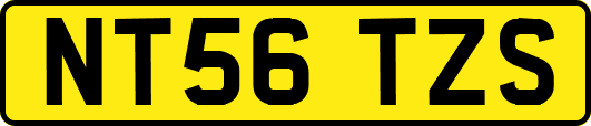 NT56TZS