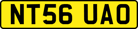 NT56UAO