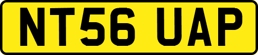 NT56UAP