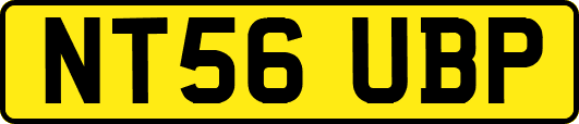 NT56UBP