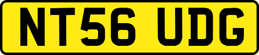 NT56UDG
