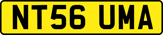 NT56UMA