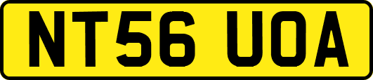 NT56UOA