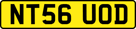 NT56UOD