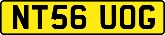 NT56UOG