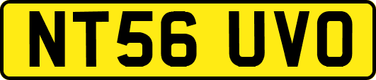 NT56UVO