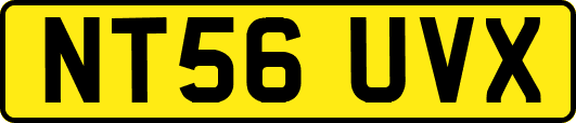 NT56UVX