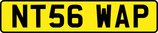 NT56WAP