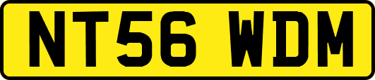 NT56WDM