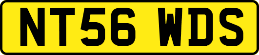 NT56WDS