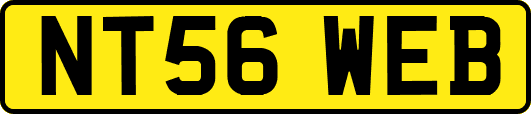 NT56WEB
