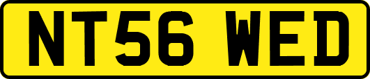 NT56WED