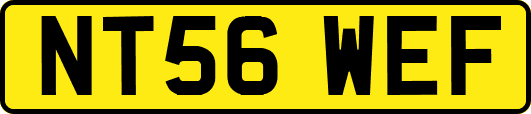 NT56WEF