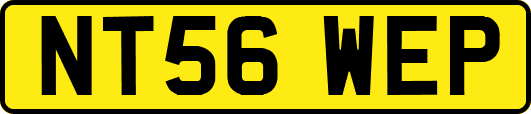 NT56WEP