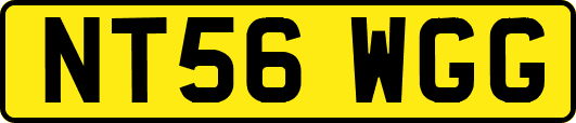 NT56WGG