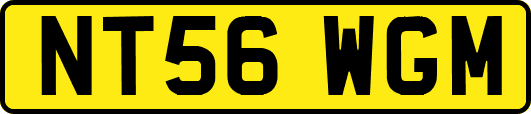 NT56WGM