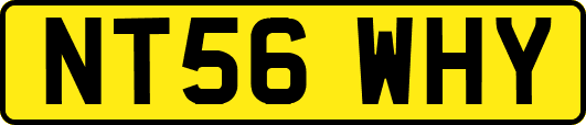 NT56WHY