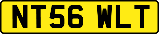 NT56WLT