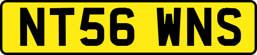 NT56WNS