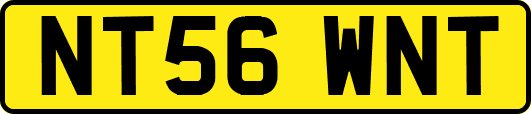 NT56WNT