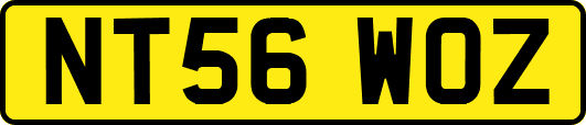 NT56WOZ