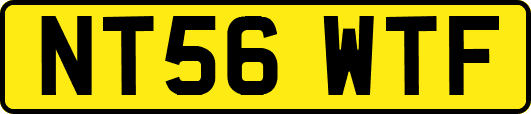 NT56WTF