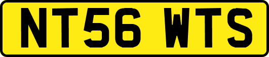 NT56WTS