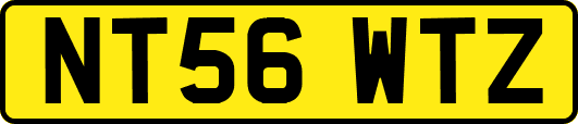 NT56WTZ