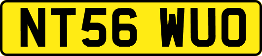 NT56WUO