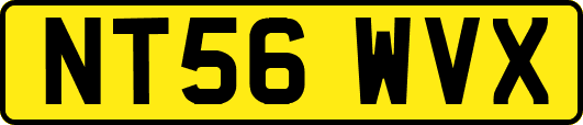 NT56WVX