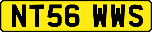NT56WWS