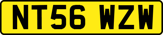 NT56WZW