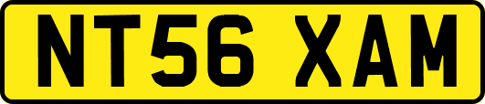 NT56XAM