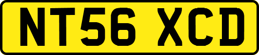 NT56XCD