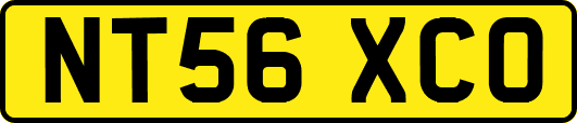 NT56XCO