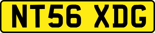 NT56XDG