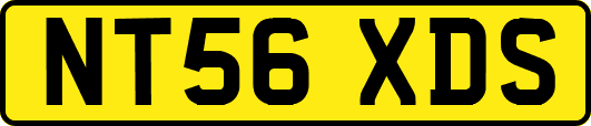 NT56XDS