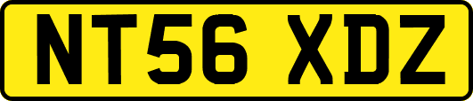 NT56XDZ