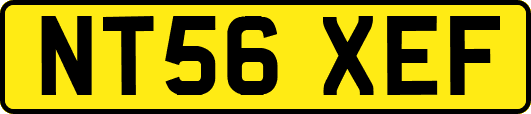 NT56XEF